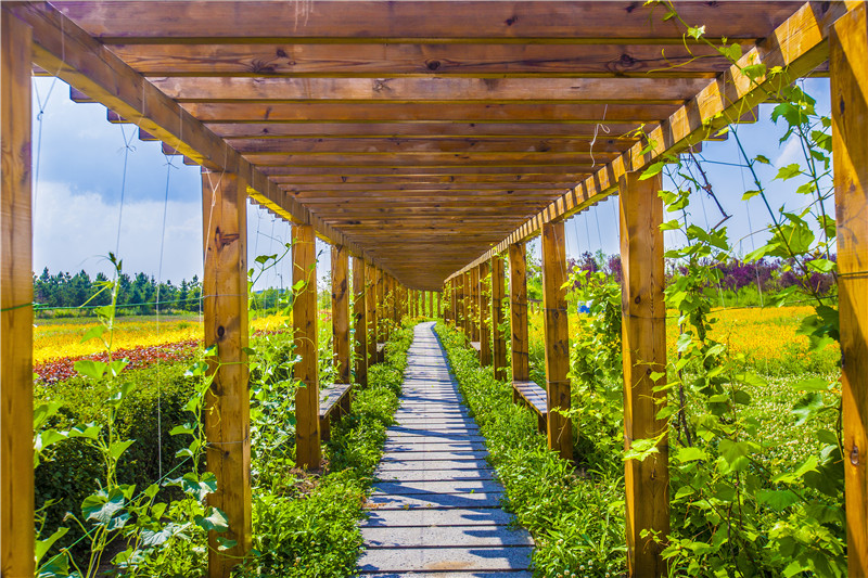 長廊3（長春園區(qū)）